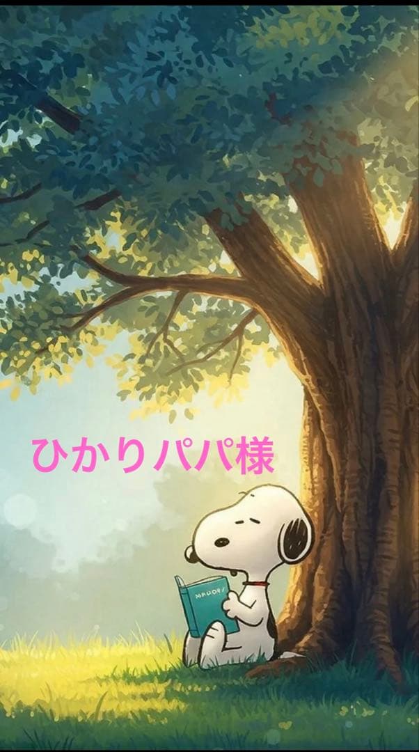 ひかりパパ様　詰め合わせ