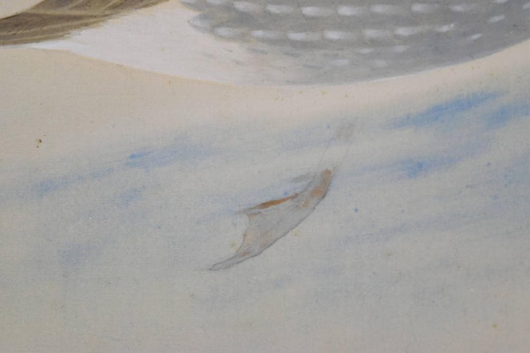 【真作】隆/鴛図/おしどり/掛軸/名家伝来/AA-916