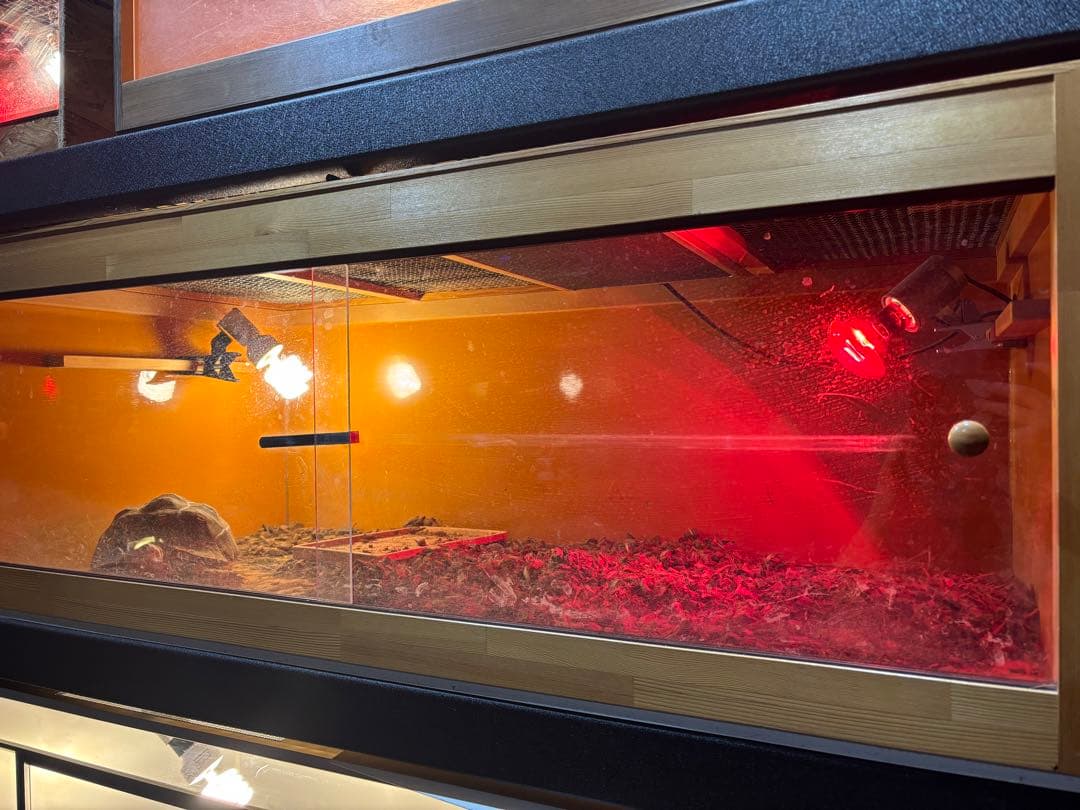 大型爬虫類用ケージ 120×60×高さ45