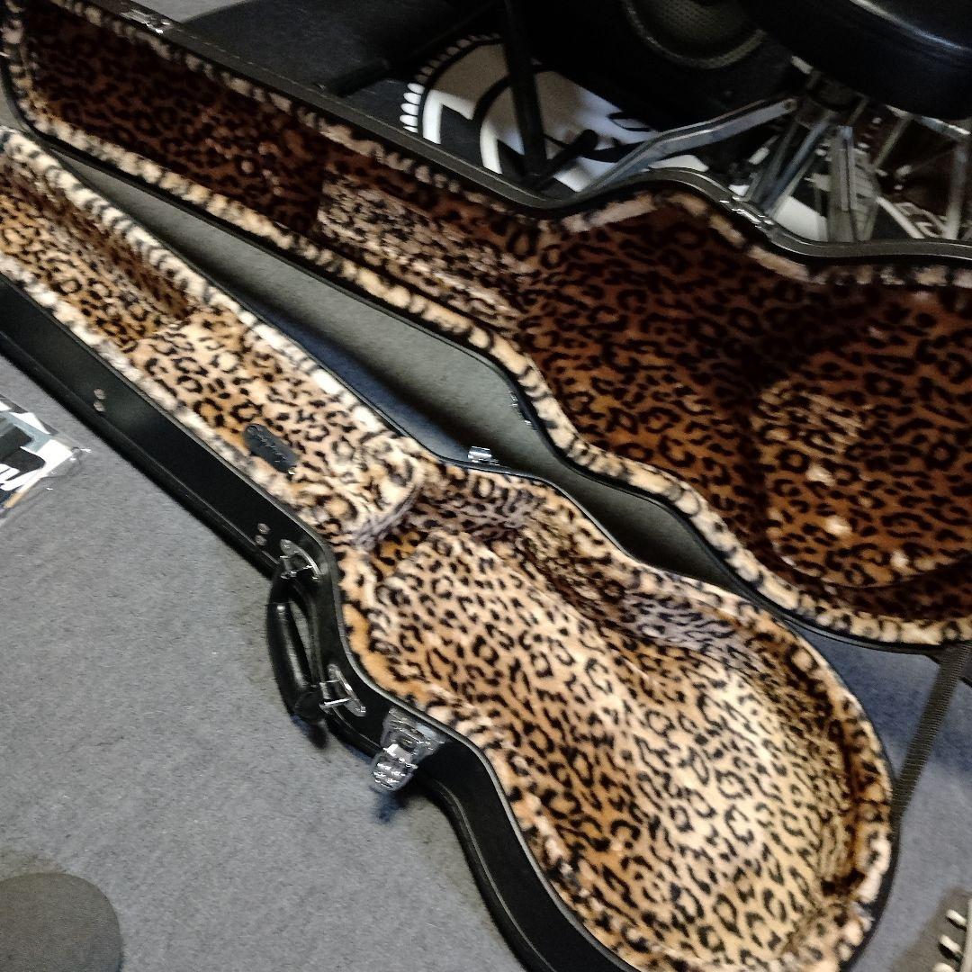 ギター Epiphone Billie Joe Armstrong Les PaulJr