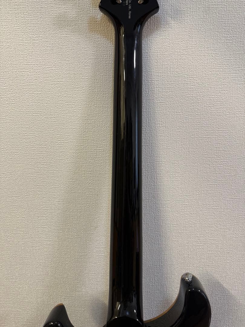 PRS(Paul Reed Smith) se custom24 (付属品多数)