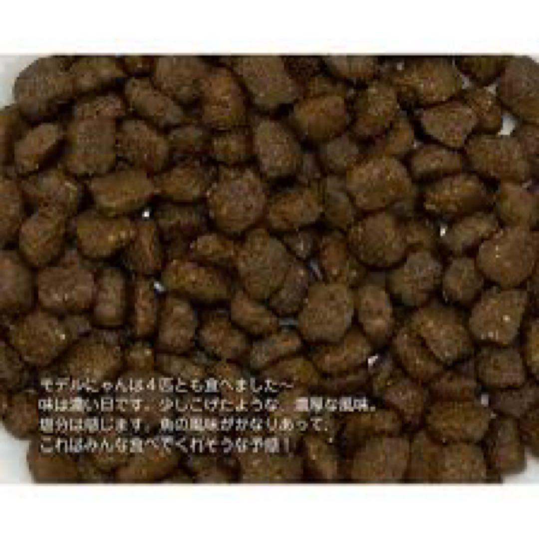 LEONARDO キトン 鶏肉85% 3.6KG