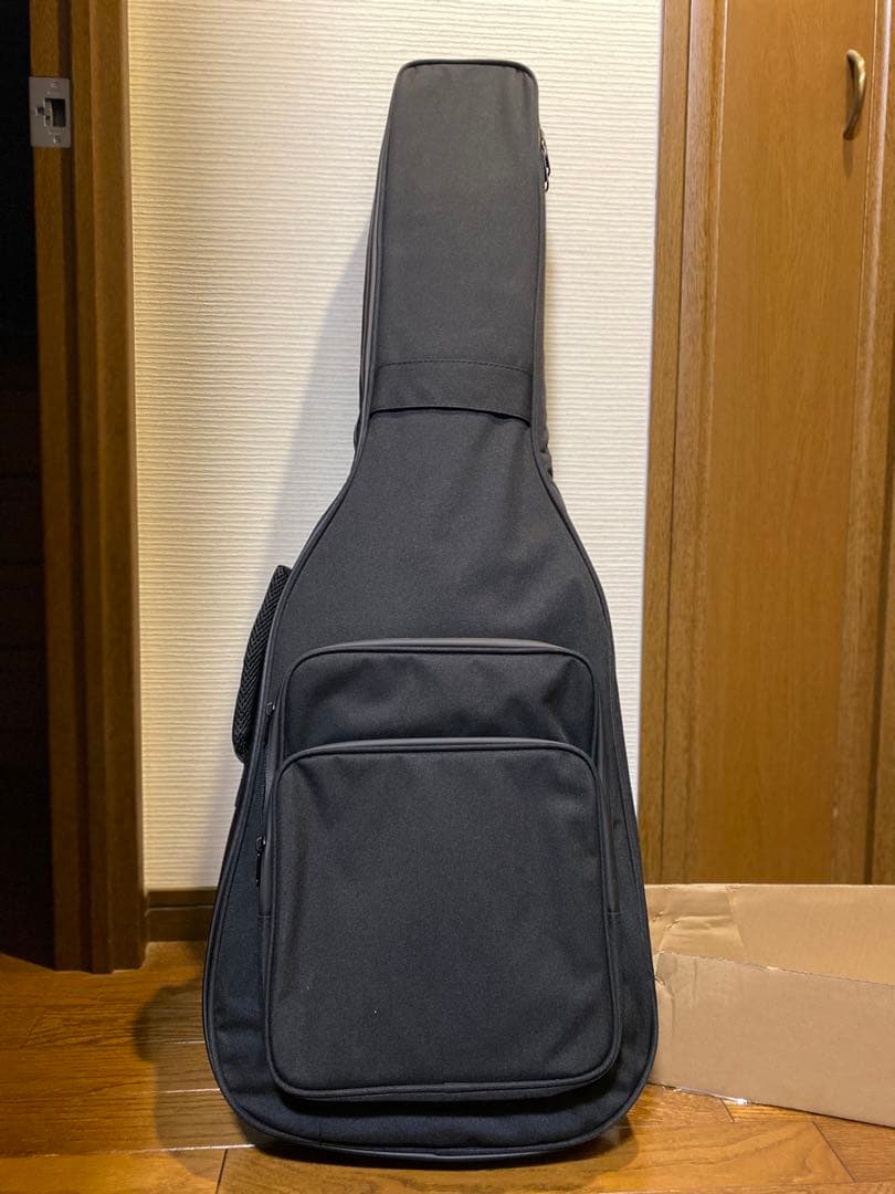 【美品良品】Aria Pro II PE-F80 LTD エレキギター