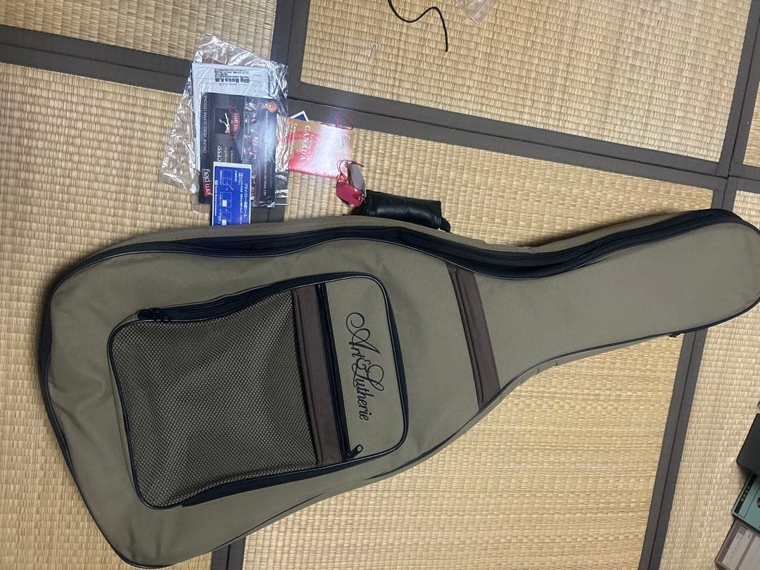 【比較的美品】Godin Art&Lutherie Ceder Black