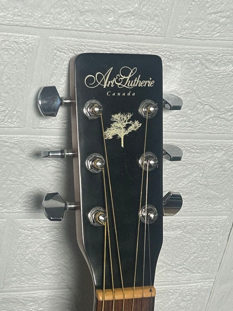 【比較的美品】Godin Art&Lutherie Ceder Black