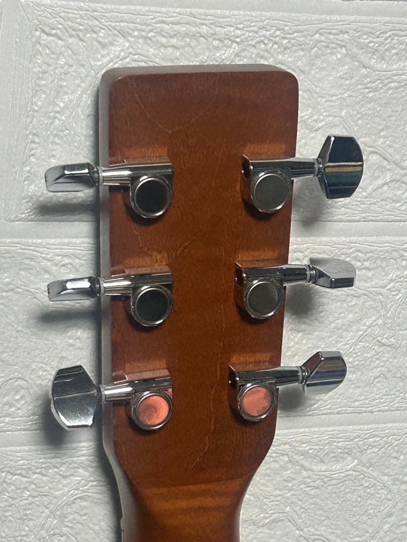 【比較的美品】Godin Art&Lutherie Ceder Black