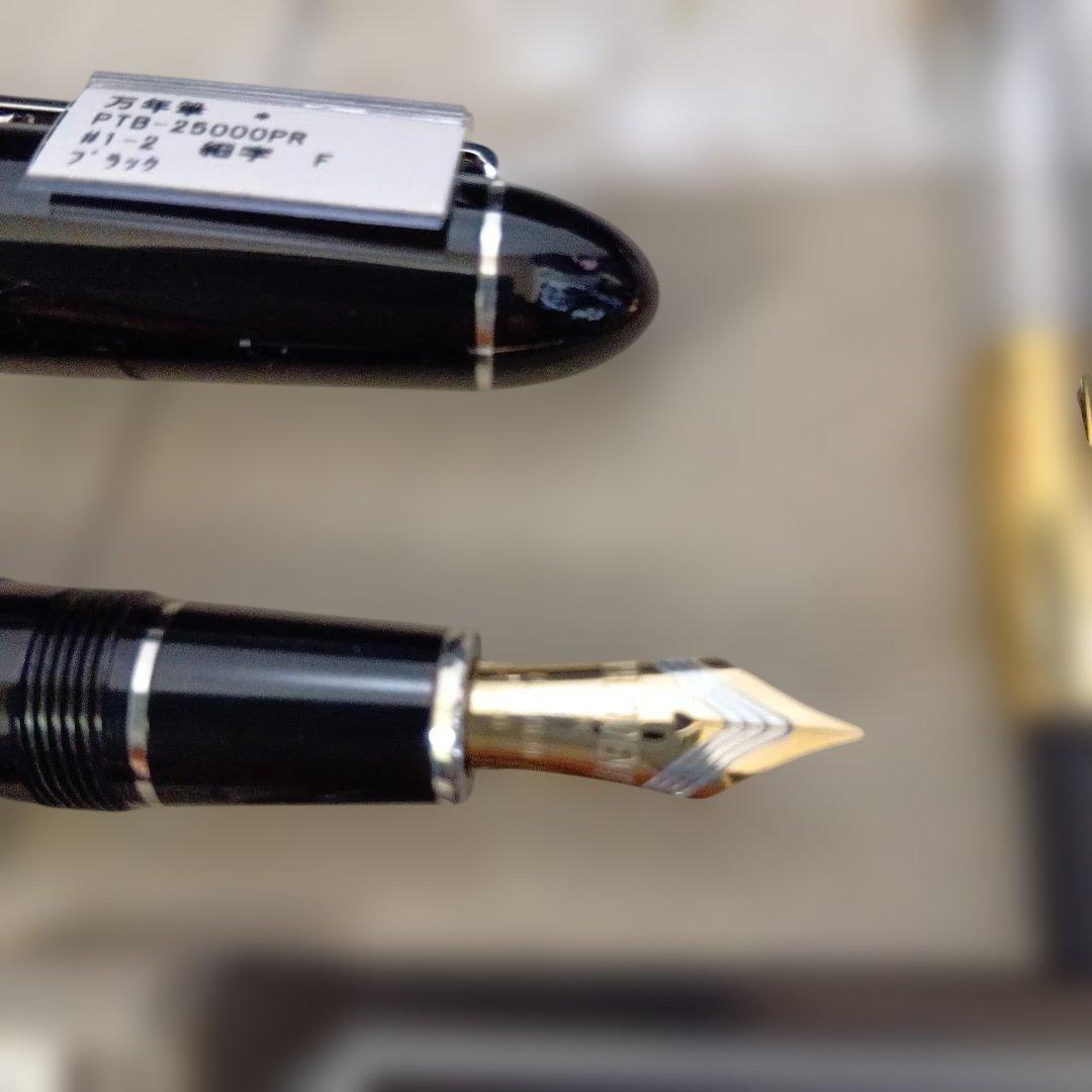 PLATINUM PRESIDENT 万年筆 F