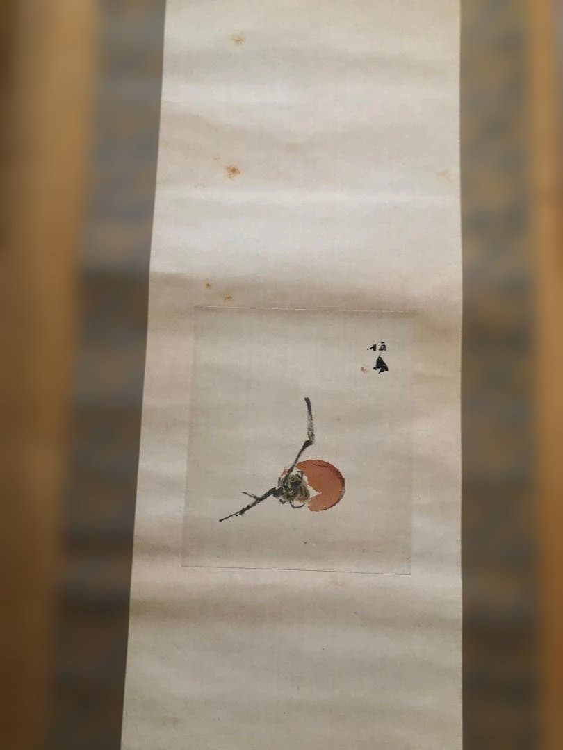 竹内栖鳳　掛け軸　柿の絵　二重箱入り