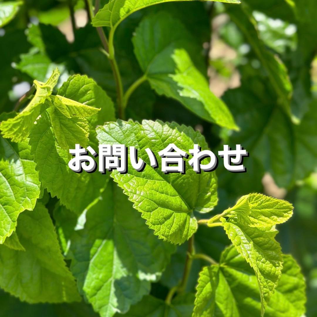 お問い合わせ用出品です