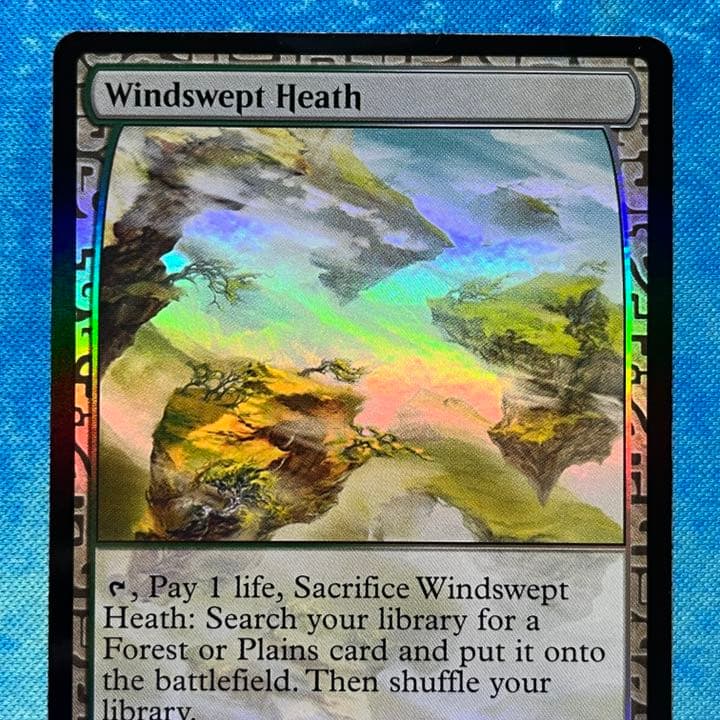 MTG 英語版 foil EXP 吹きさらしの荒野