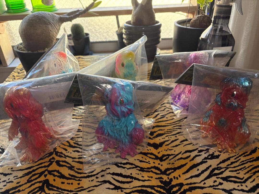 ぽんたま　ミドルヘドラまとめ売り