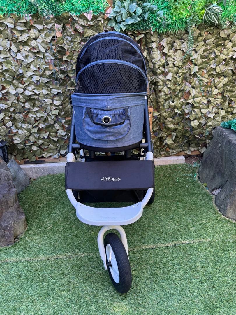 エアバギードーム2 Air Buggy DOME2 SM