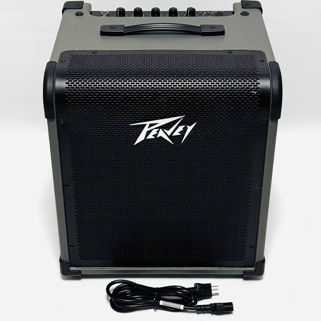 PEAVEY MAX 100 100W ベースアンプ コンボ