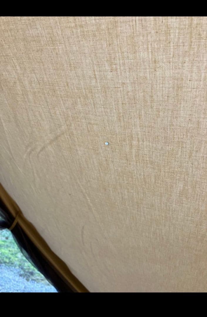 モーニンググローリーＴＣ　フタマタノキワミとセット