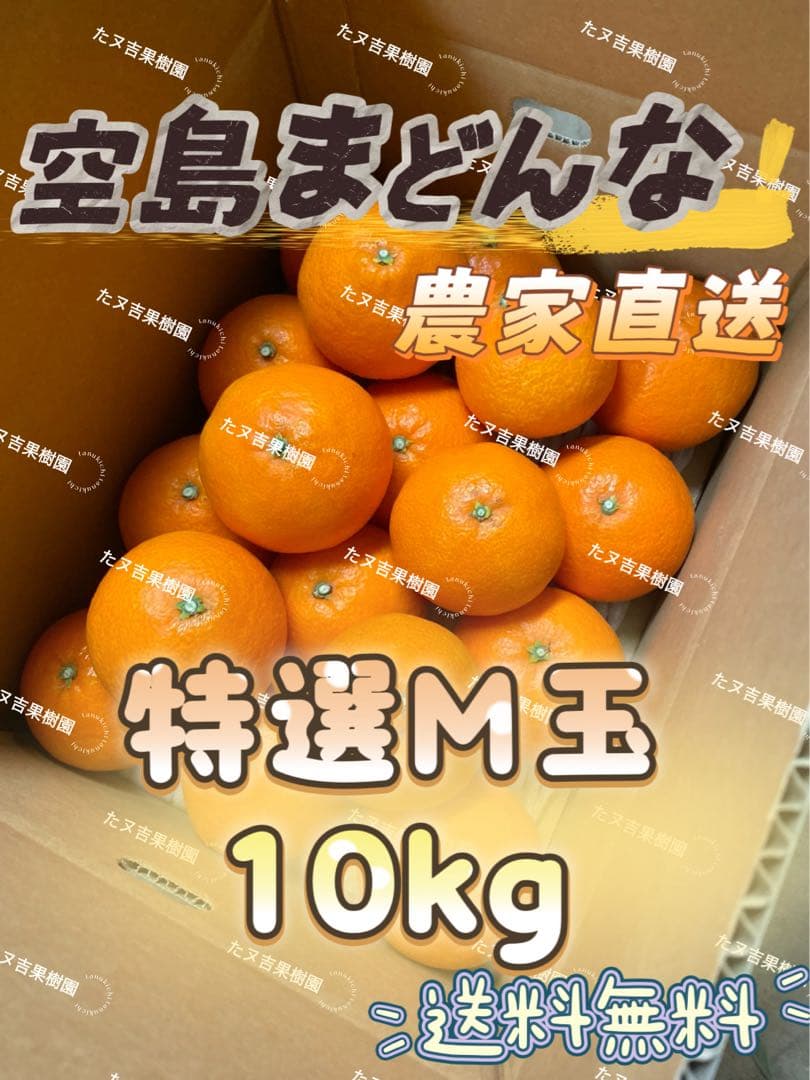 愛媛県産!!愛果28号(特選Ｍ玉10キロ) 空島まどんな