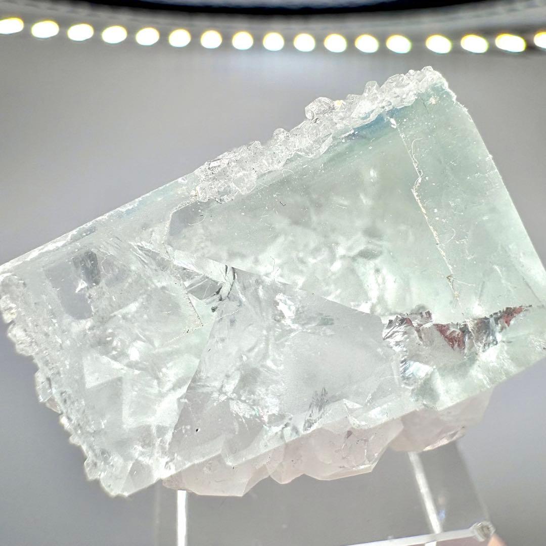 604 中国 浙江省産 フローライト