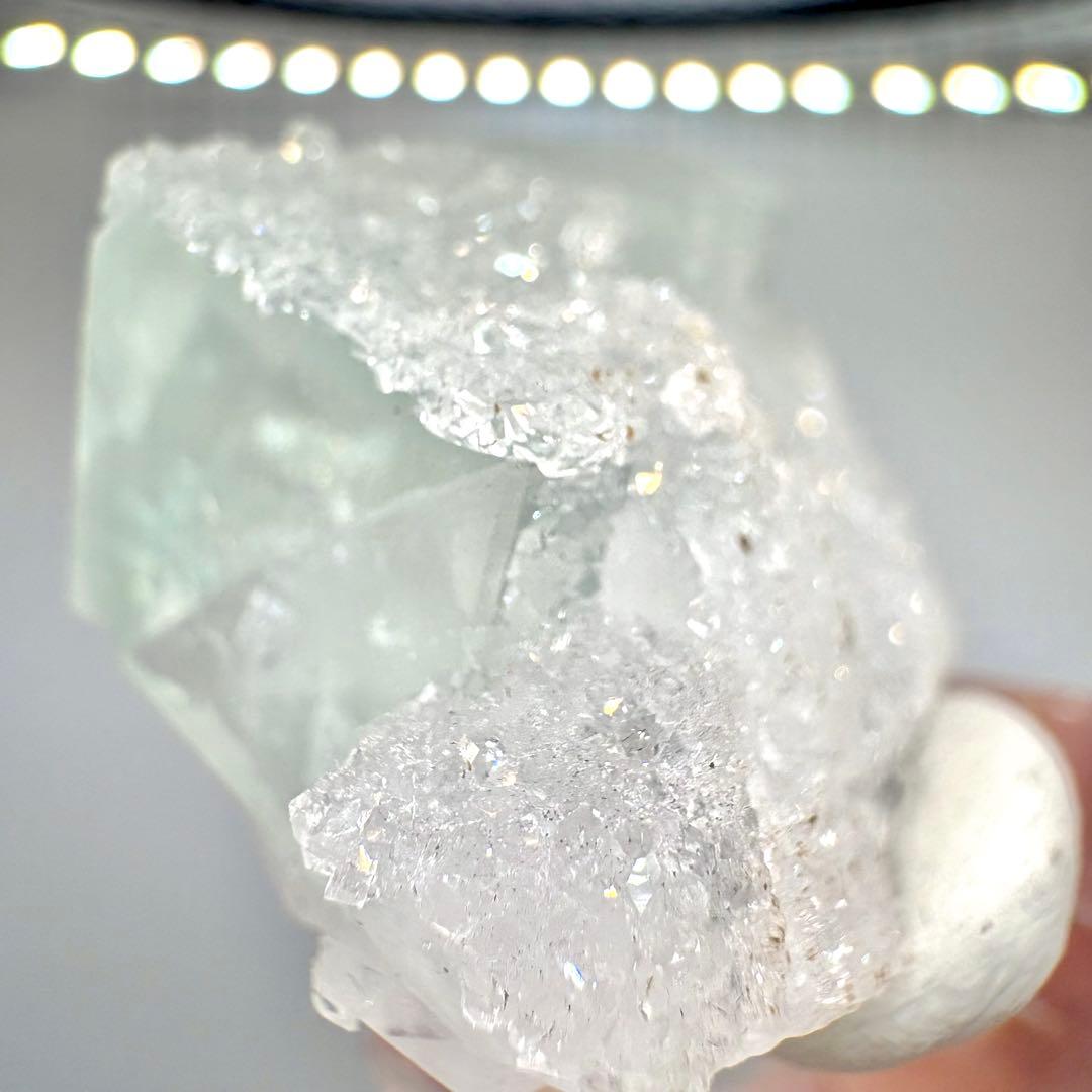 604 中国 浙江省産 フローライト