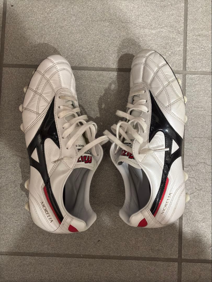 【us21様】モレリア2 クロスステッチ　25.5cm