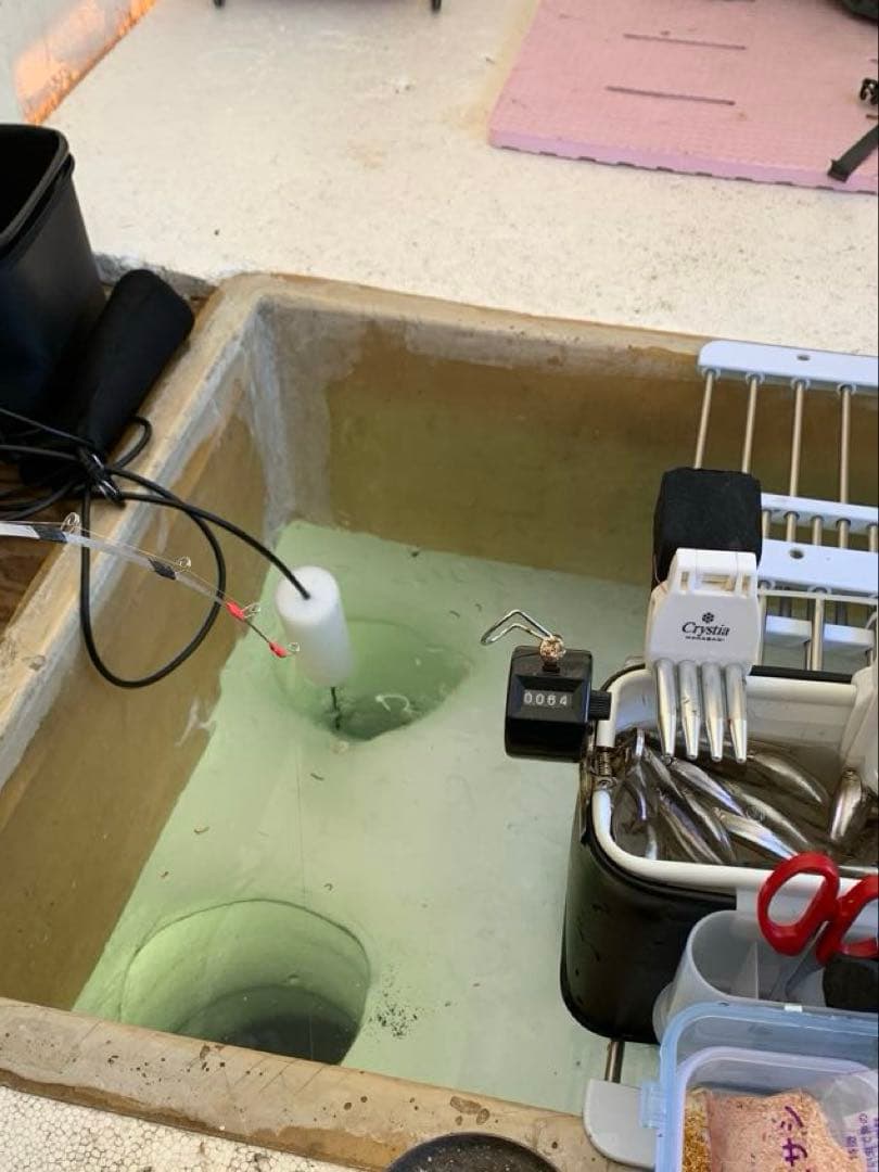 オススメ　氷上ワカサギ釣り　ステンレス穂先　２本　　252ミリ