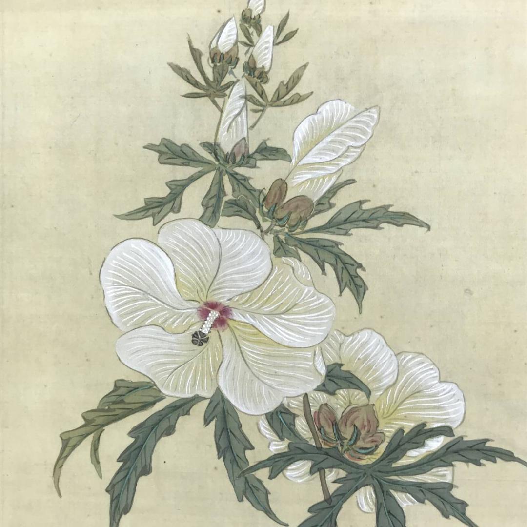 【真作】田能村小齋/牡丹草花図/花図/牡丹図/掛軸☆宝船☆AD-445