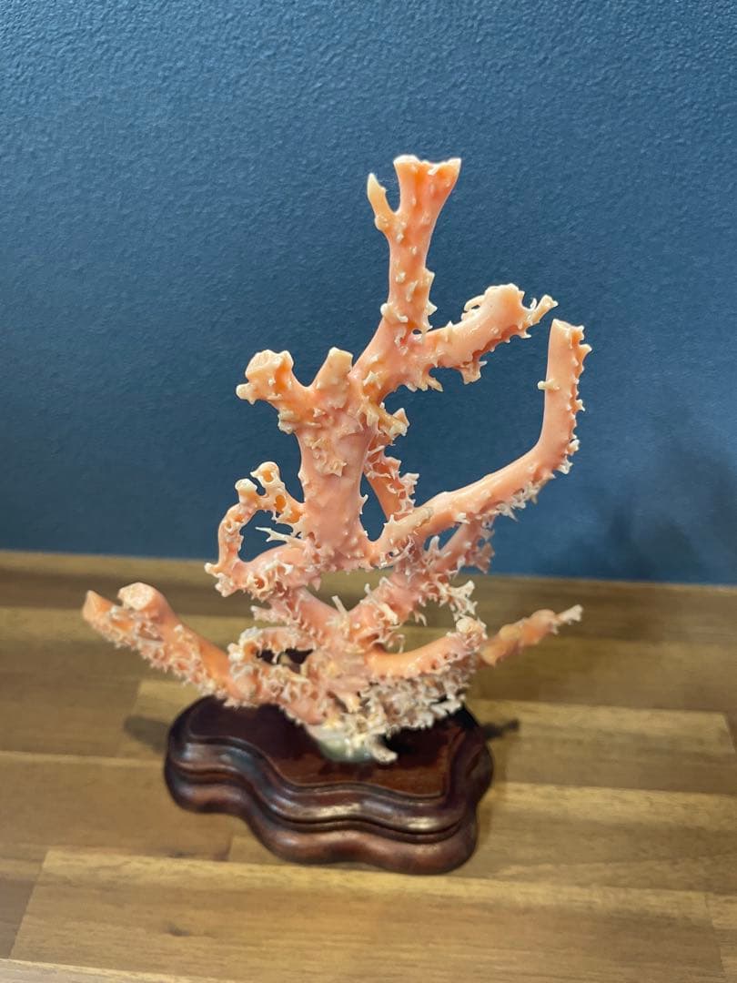 ピンク珊瑚 原木枝 土台付き 約20.5cm