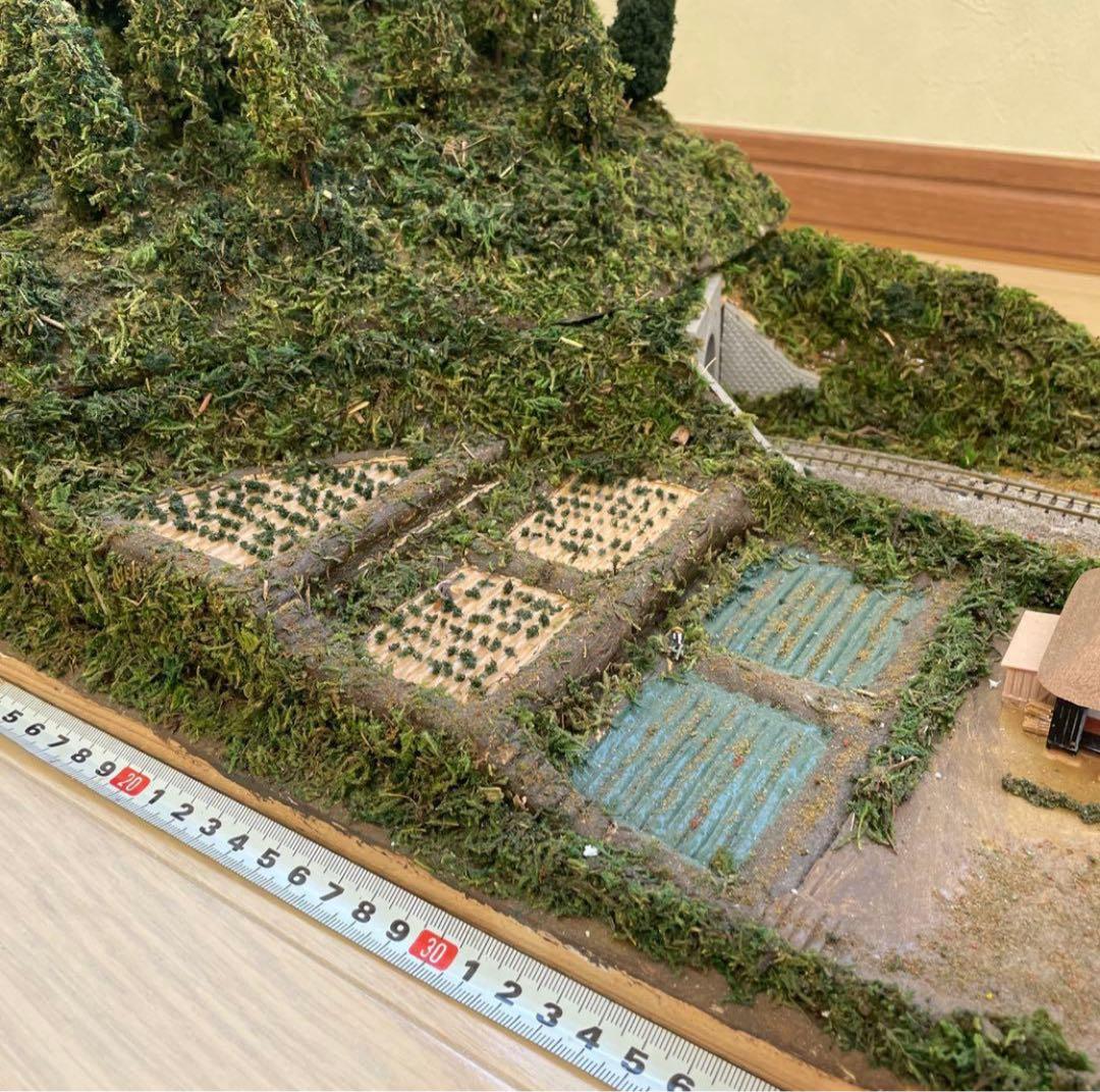 Nゲージ ジオラマ 田舎の風景　山　トンネル50cm×30cm