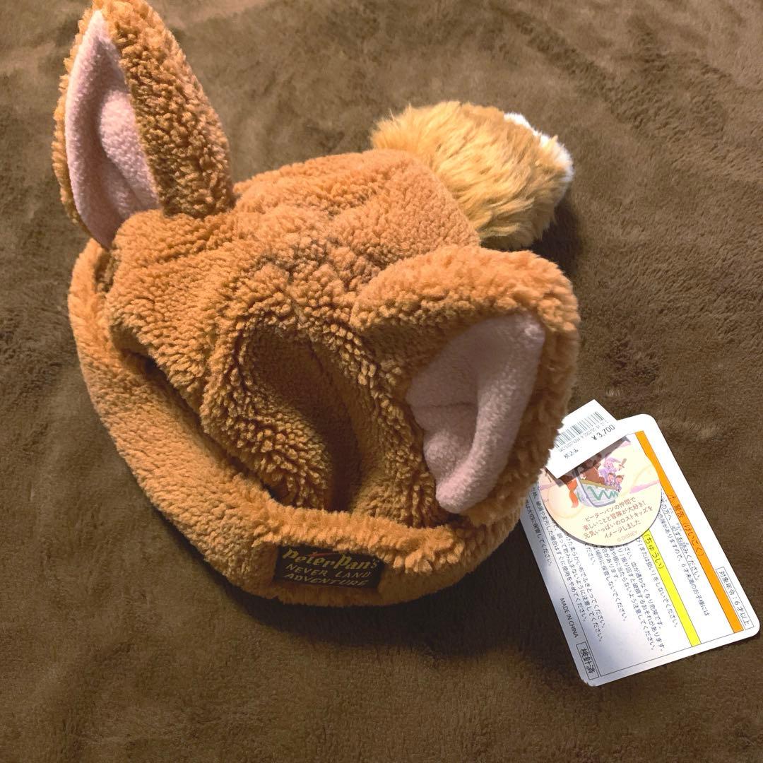 ディズニー　ピーターパン　ロストキッズ　ファンキャップ
