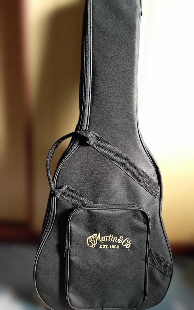 最終大幅値引き‼️美品❗Martin　DJR-10-02 オール単板