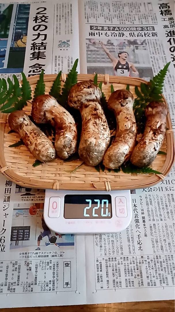 松茸 岩手県産 10/12