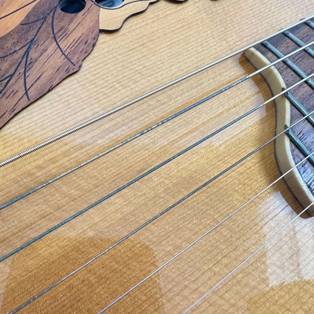 ovation APPLAUSE AE248 アコギ エレアコ