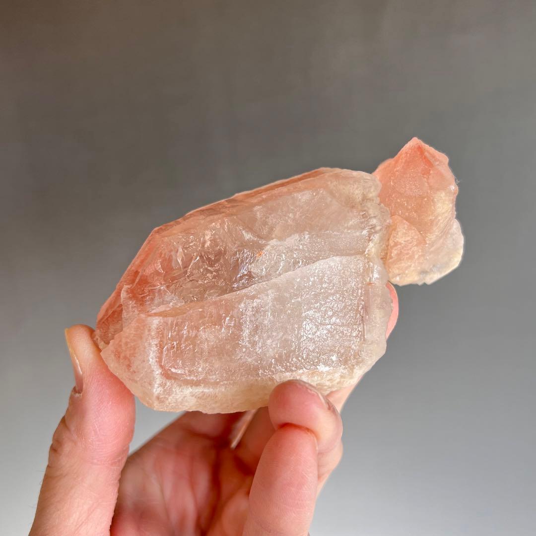 超レア　金魚型ストロベリーレムリアン　　クラスター　　可愛い