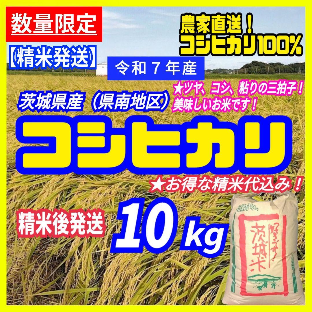 令和7年産 茨城県産 コシヒカリ 白米 精米代込み 10Kg 10キロ a