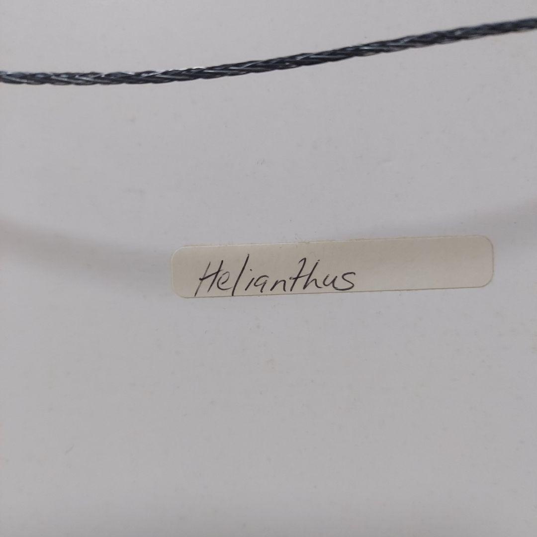 アートフォト作品ひまわり