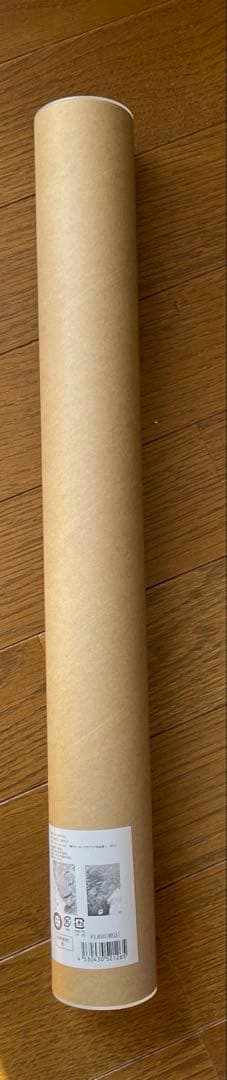 ヒロアカ 原画展 A2アートポスター【The Beginning】