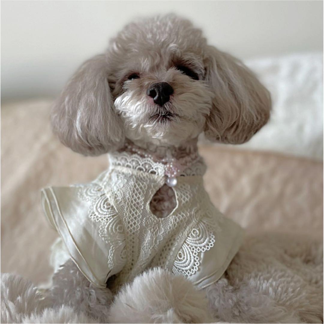 ペット用ビーズネックレス　MGH-012