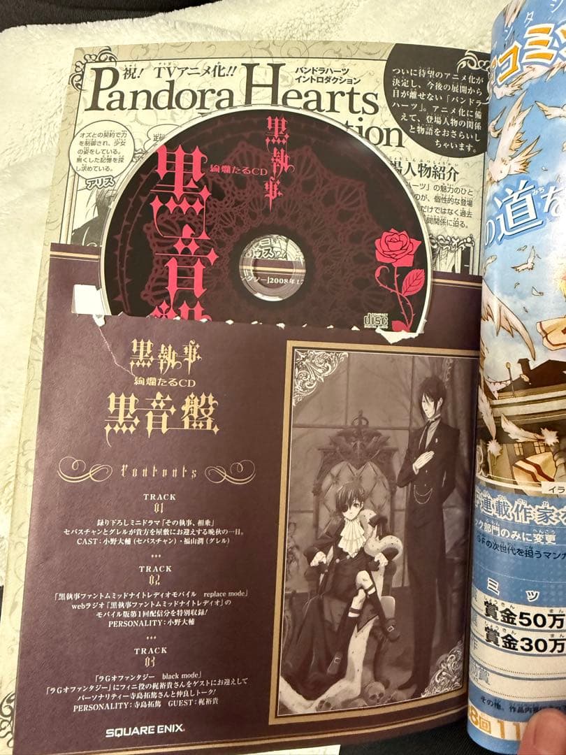 Gファンタジー　付録　2009〜2011 パンドラハーツ　特典 ブックカバー