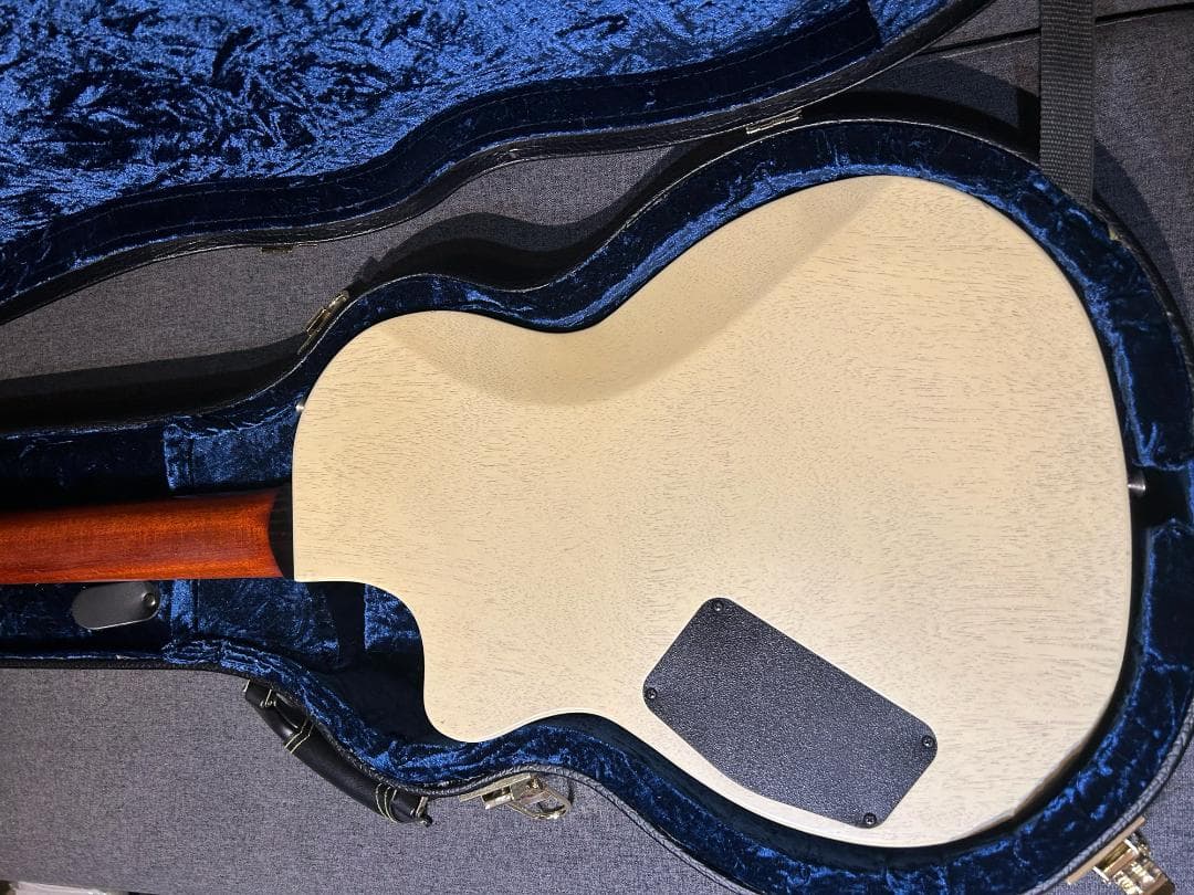 ギター Larrivee RS-2