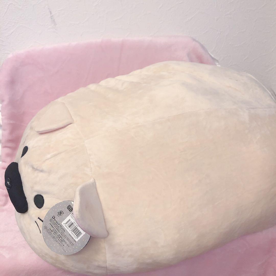 【希少品】ごろねこサミット 超サミット ぬいぐるみ トウメ