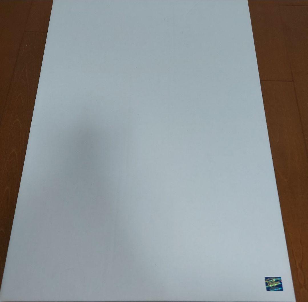 ビシエド 直筆サイン入りフォトパネル 100号ホームラン記念 中日ドラゴンズ