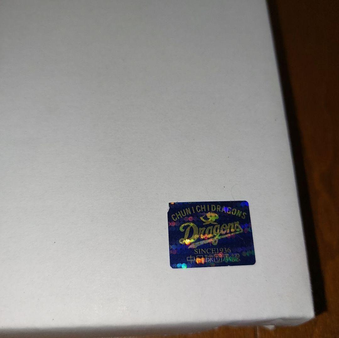 ビシエド 直筆サイン入りフォトパネル 100号ホームラン記念 中日ドラゴンズ