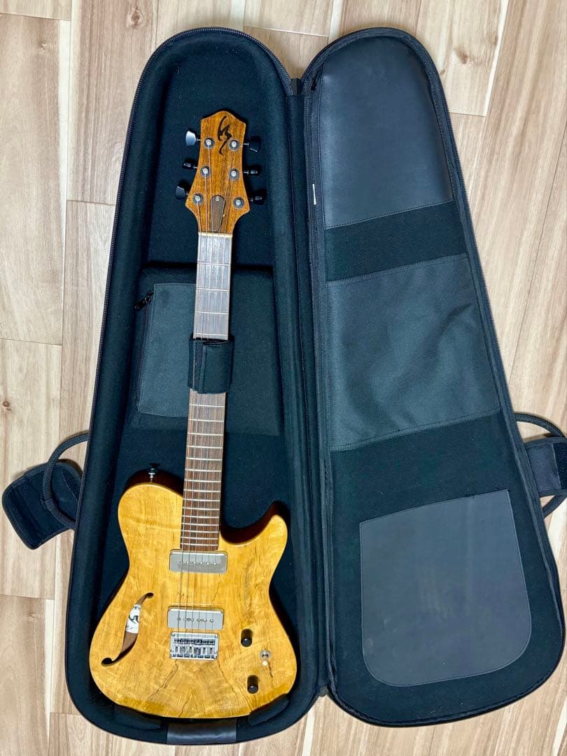 ギター Nishgaki Guitars