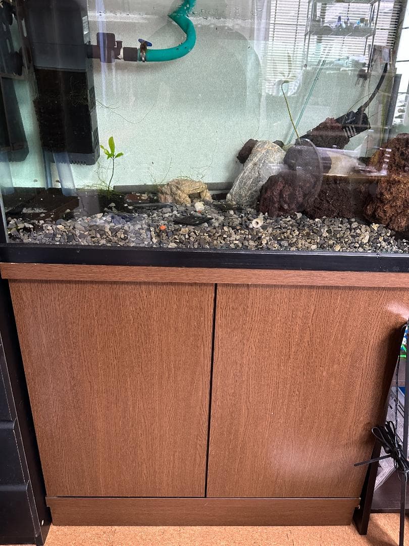 75cm水槽　水槽台　オーダーメイド上部フィルター　他オマケ