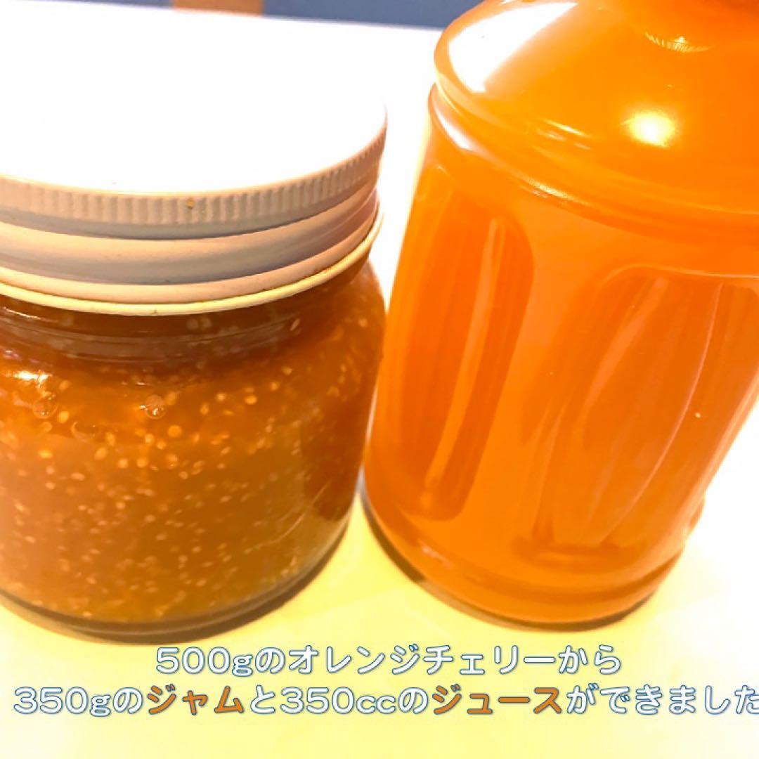 専用出品です　食用ほおずき　オレンジチェリー(ゴールデンベリー) 小粒2kg.