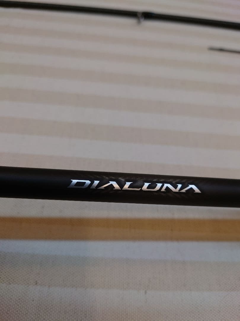 ２３ディアルーナS100M　ジャンク