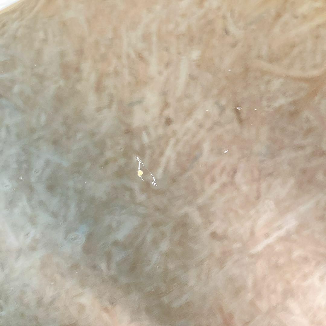 Photogenic エレキベース　プレベ　レフティ