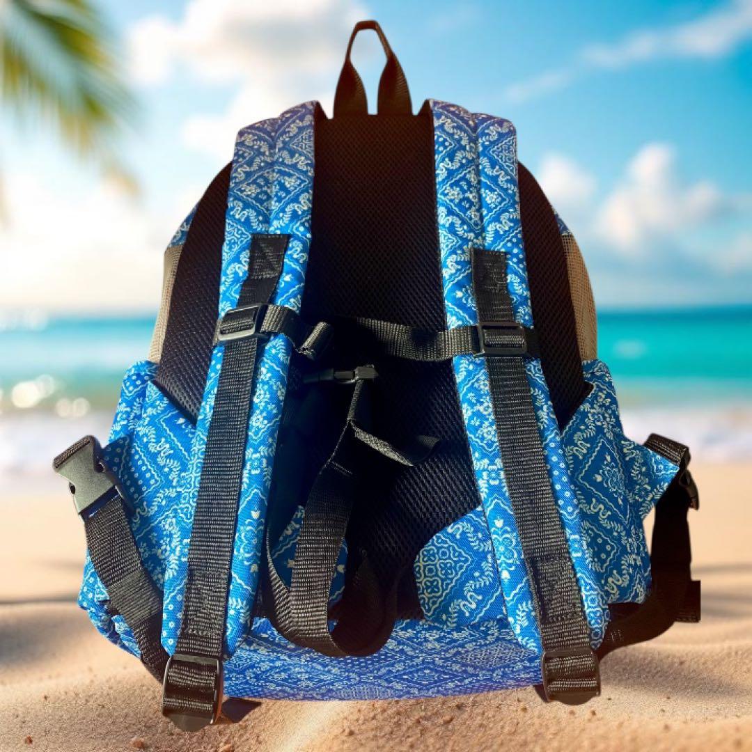 希少コラボ✨ペットパラダイス レインスプーナー ペットキャリー ハグ＆リュック