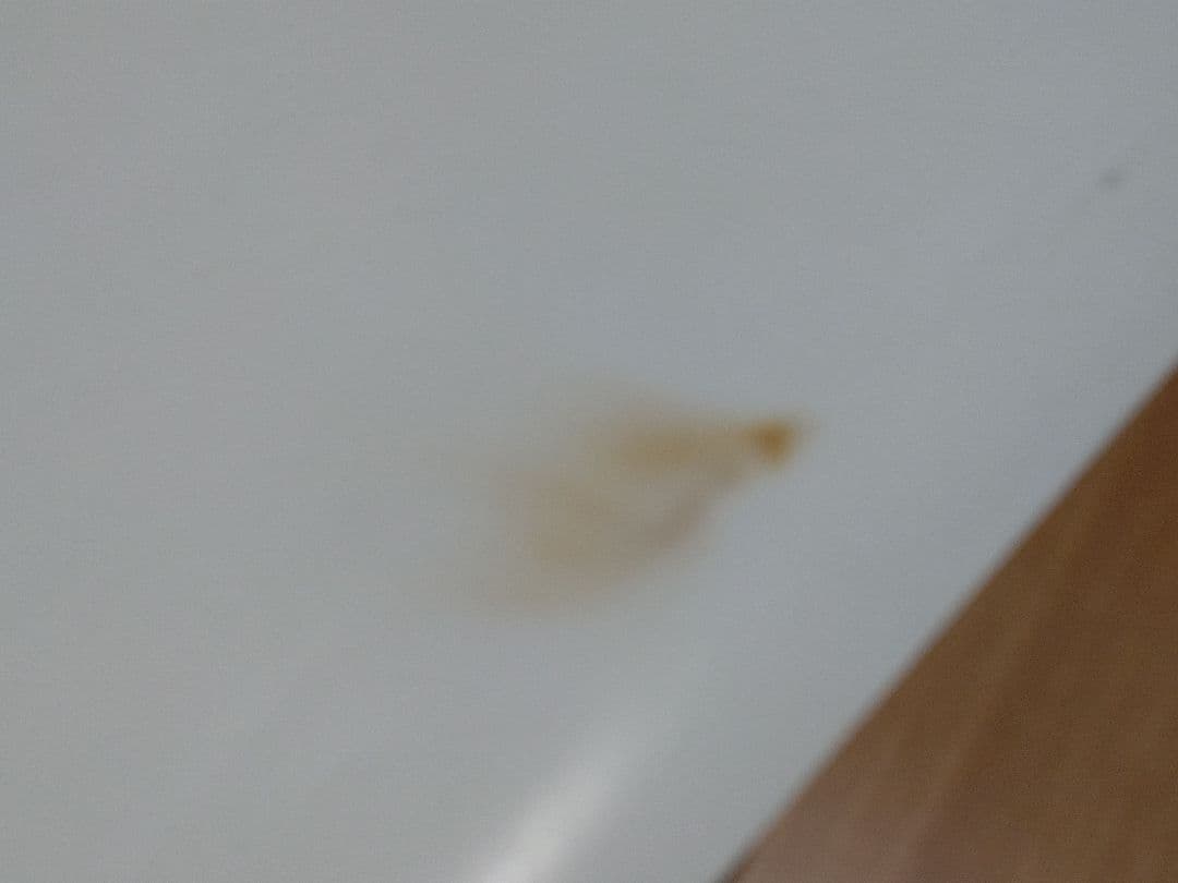 COOLS 20周年ライブポスター