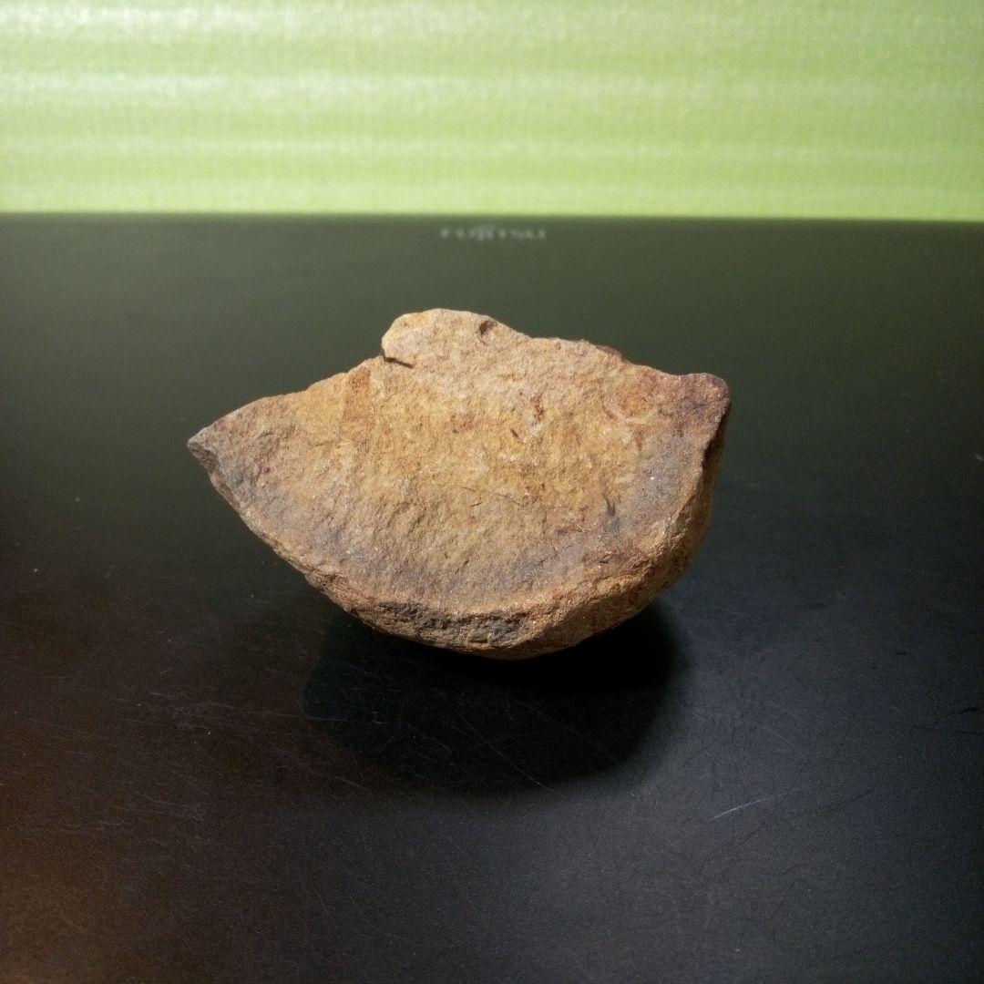 三葉虫　化石　fossil　ボリビア産　レア　Fossil管理⑦