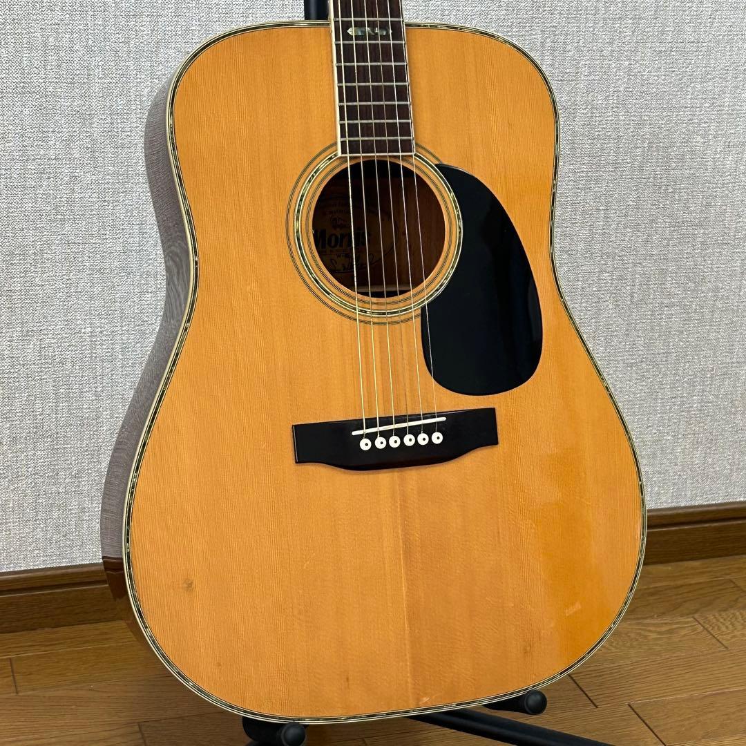 MORRIS モーリス W-40 L.R.Baggs Element VTC搭載