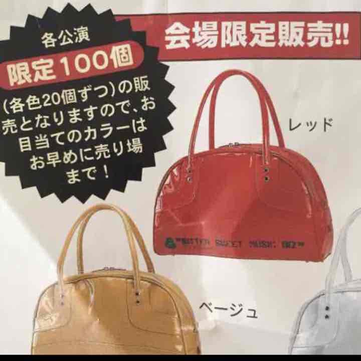 2月に削除予定！値下げしました！激レア❤️ポルノグラフィティボストンバッグ